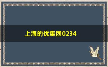 “上海的优集团02345股票如何